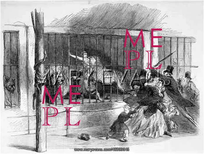 : DEATH AT MENAGERIE : DEATH AT MENAGERIE