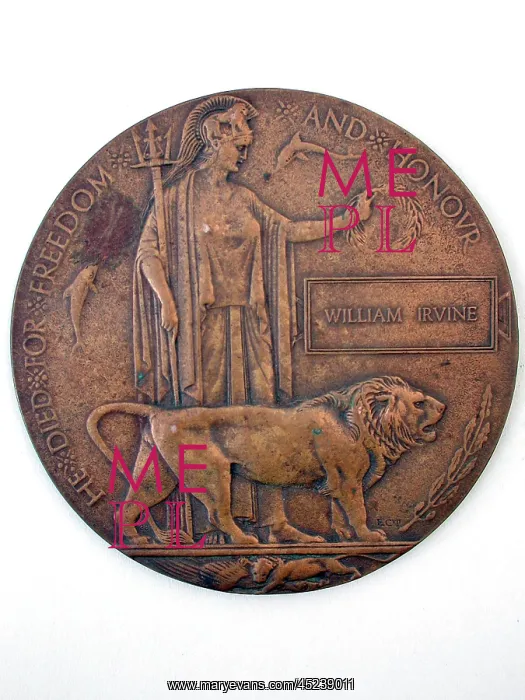 : Death Plaque in the name of William Irvine : Death Plaque in the name of William Irvine