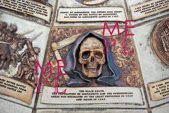 : Death's Head on plaque, Monmouth, Gwent : Death's Head on plaque, Monmouth, Gwent