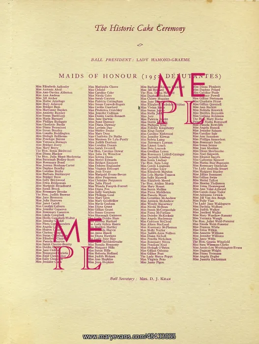 : Debutante ephemera - Queen Charlotte's Ball : Debutante ephemera - Queen Charlotte's Ball