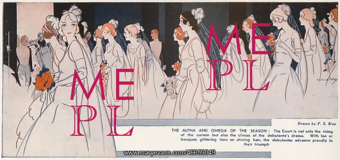 : Debutantes about to be presented at court : Debutantes about to be presented at court
