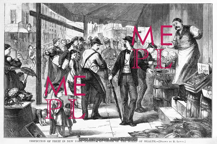 : Decayed Fruit. Inspection of fruit in New ? : Decayed Fruit. Inspection of fruit in New ?