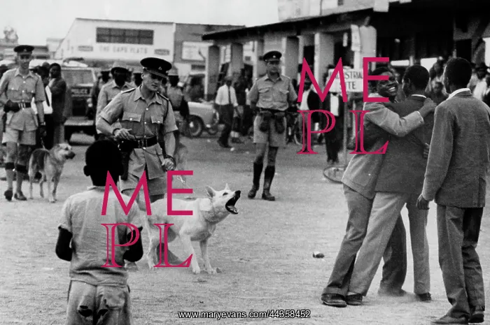 : December 1963 Build-Up For The Camp-Down The Crowd : December 1963 Build-Up For The Camp-Down The Crowd