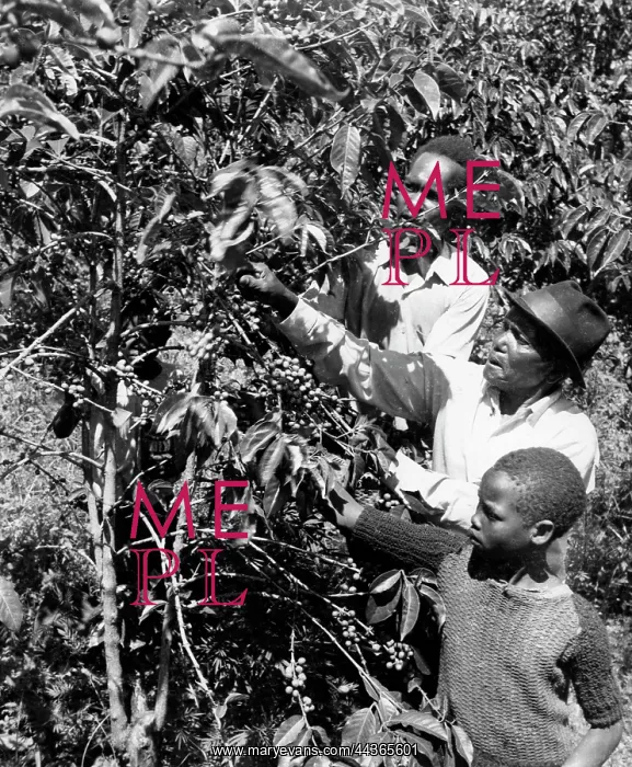 : December 1973 - Comeback For Co-operatives. A family : December 1973 - Comeback For Co-operatives. A family