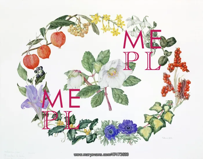 : December Floral Design : December Floral Design