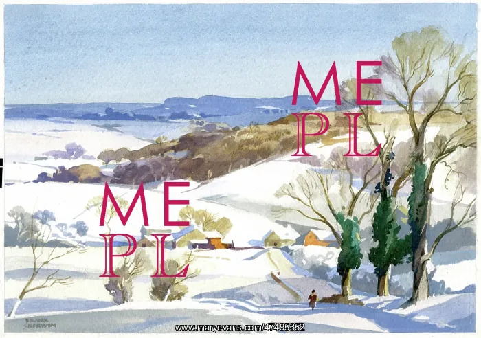 : December Sunshine - snowscene : December Sunshine - snowscene