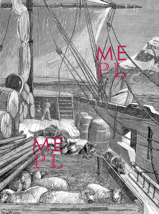 : The Deck of HMS Alert, British Arctic Expedition, 1875 : The Deck of HMS Alert, British Arctic Expedition, 1875