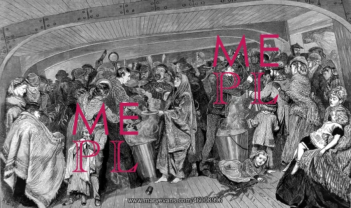 : Between decks on an Emigrant Ship, Atlantic Ocean, 1872 : Between decks on an Emigrant Ship, Atlantic Ocean, 1872