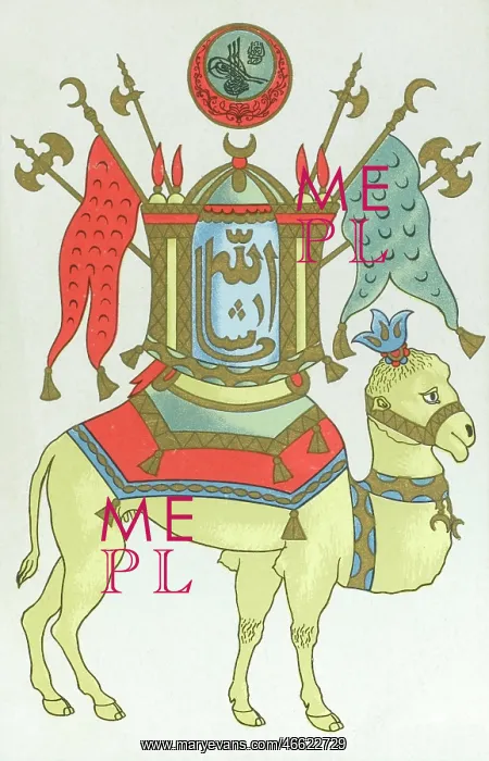 : Decorated Camel - Syria : Decorated Camel - Syria