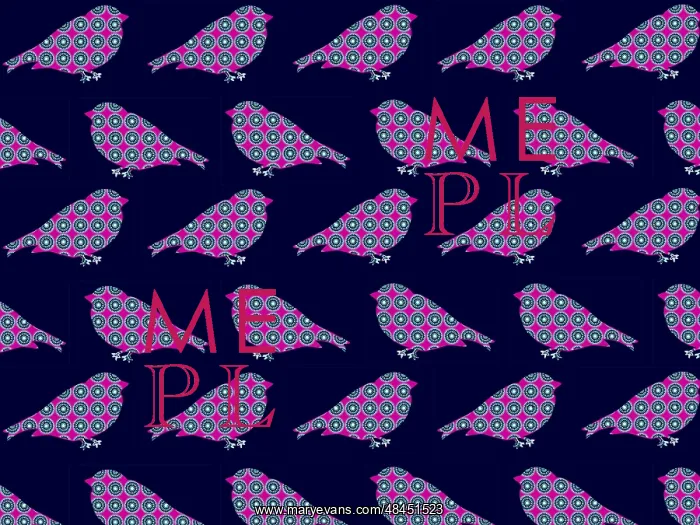  : Decorative bird pattern