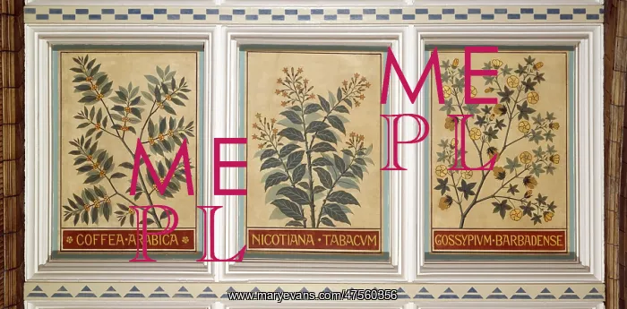 : Decorative ceiling panels in the Natural History Museum's Ce : Decorative ceiling panels in the Natural History Museum's Ce