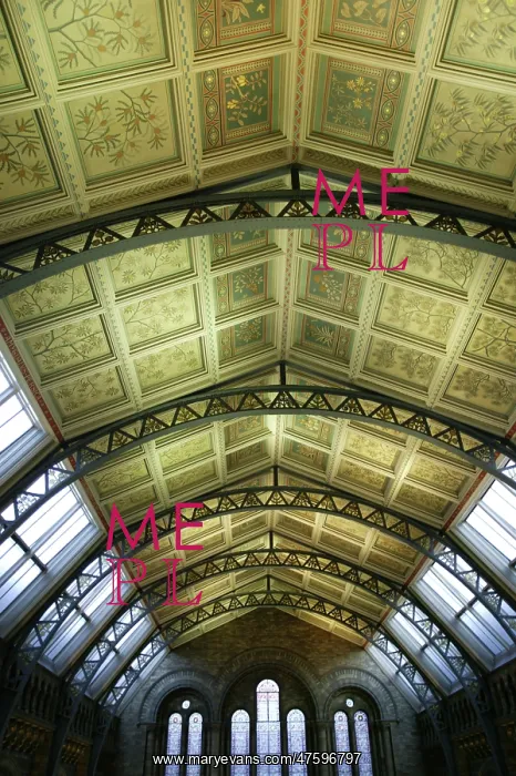 : Decorative ceiling panels in the Natural History Museum's Ce : Decorative ceiling panels in the Natural History Museum's Ce