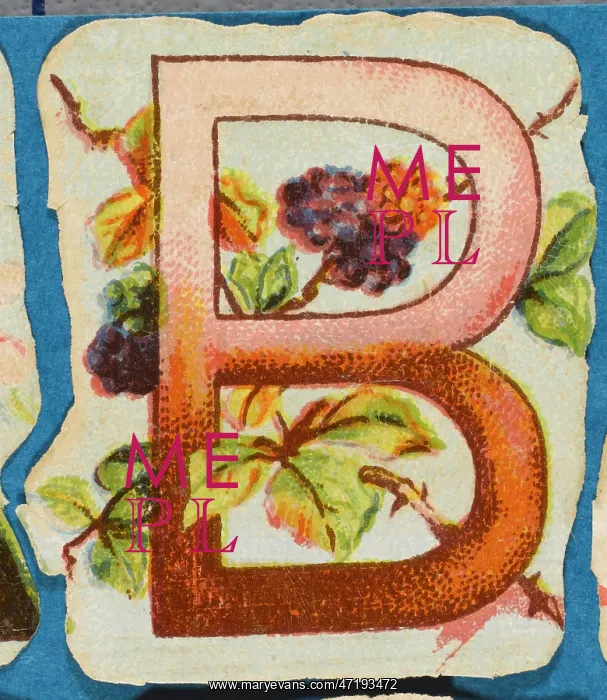  : Decorative Flower Alphabet - B