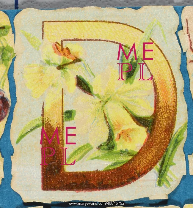  : Decorative Flower Alphabet - D