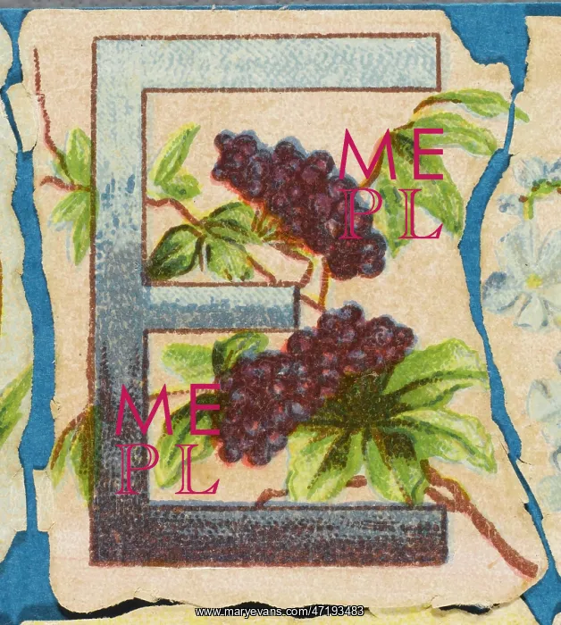  : Decorative Flower Alphabet - E