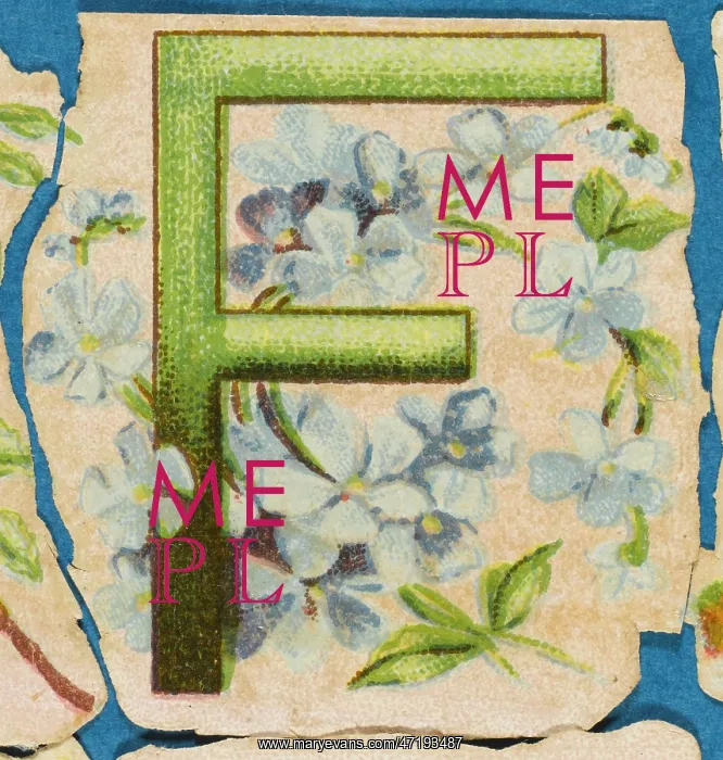  : Decorative Flower Alphabet - F