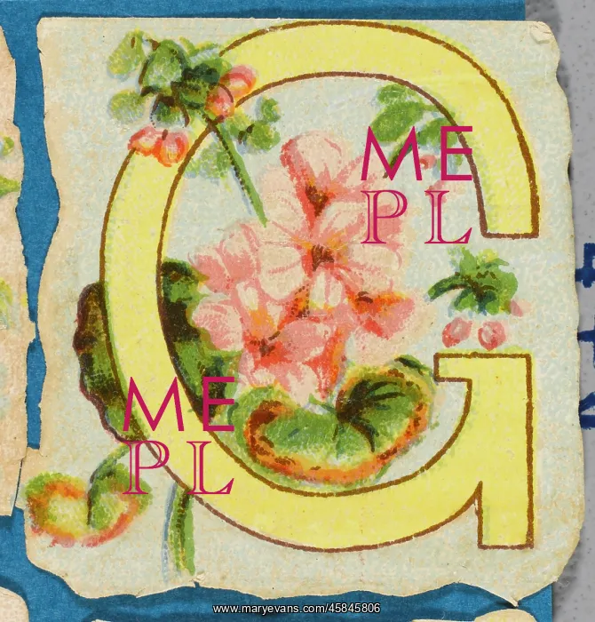  : Decorative Flower Alphabet - G
