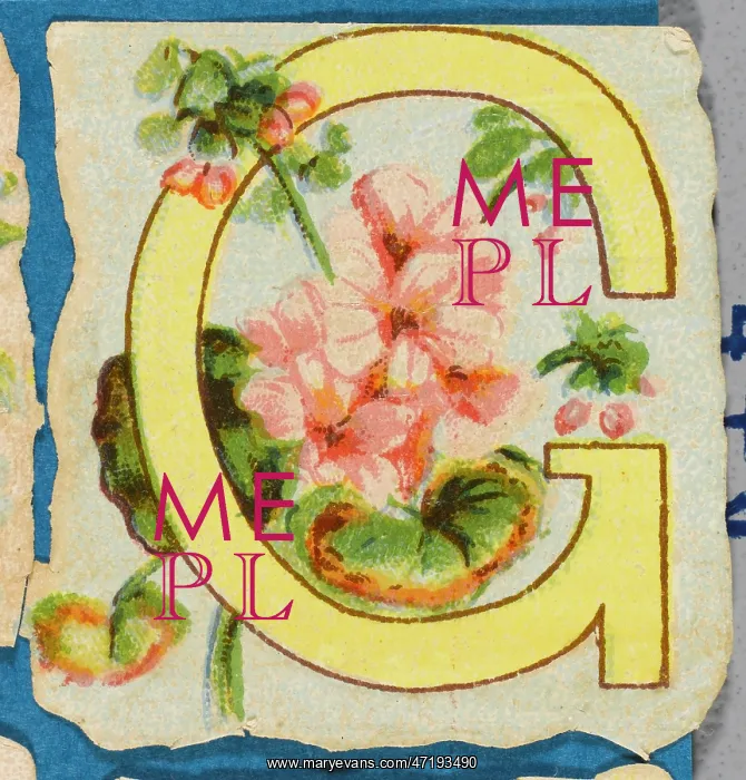  : Decorative Flower Alphabet - G
