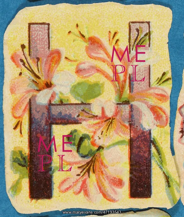  : Decorative Flower Alphabet - H