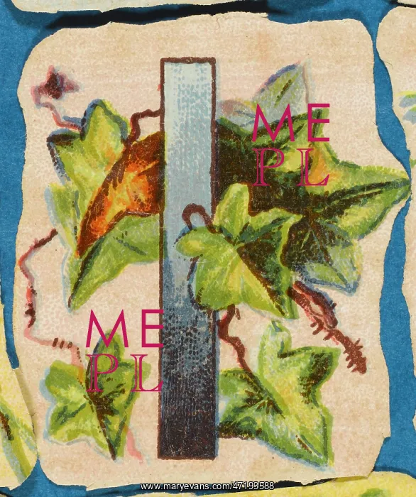  : Decorative Flower Alphabet - I