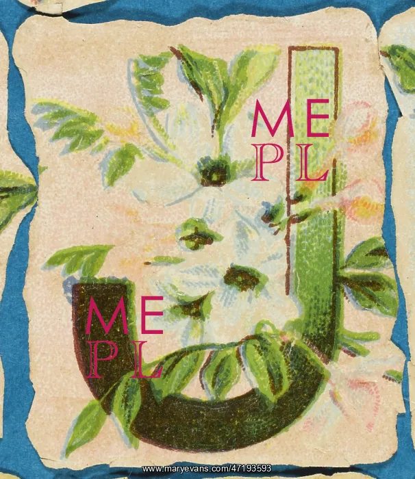  : Decorative Flower Alphabet - J