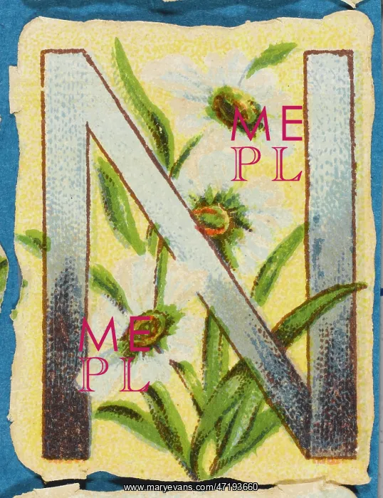  : Decorative Flower Alphabet - N