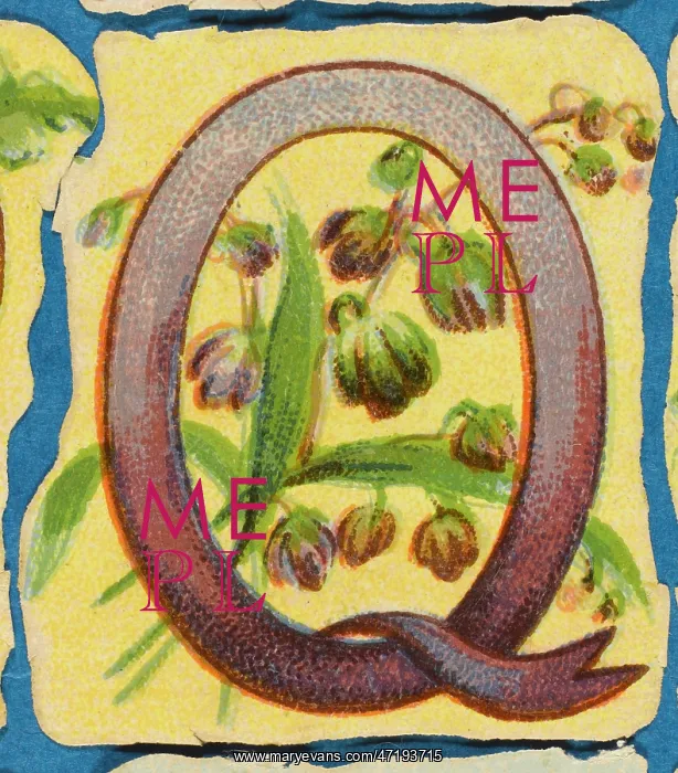  : Decorative Flower Alphabet - Q