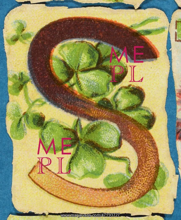  : Decorative Flower Alphabet - S