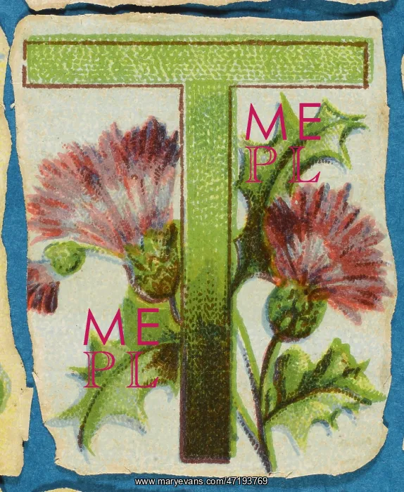  : Decorative Flower Alphabet - T