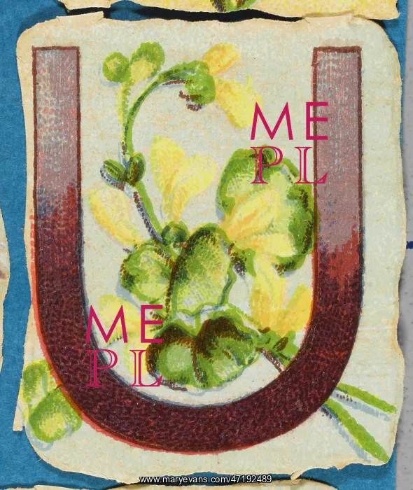  : Decorative Flower Alphabet - U