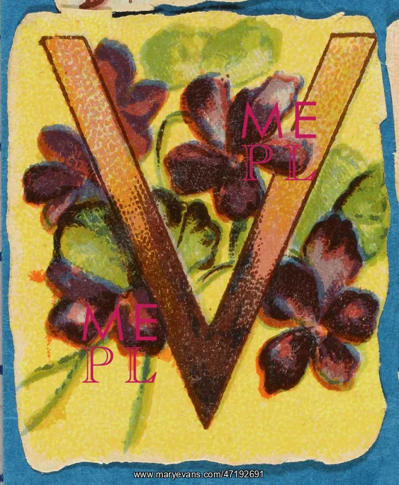  : Decorative Flower Alphabet - V