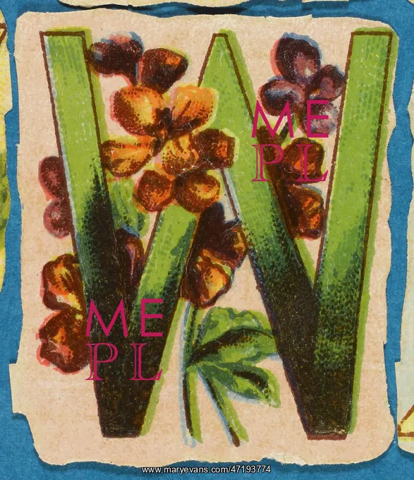  : Decorative Flower Alphabet - W