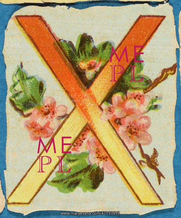  : Decorative Flower Alphabet - X