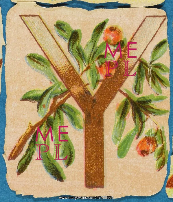  : Decorative Flower Alphabet - Y