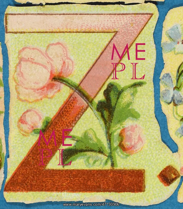  : Decorative Flower Alphabet - Z