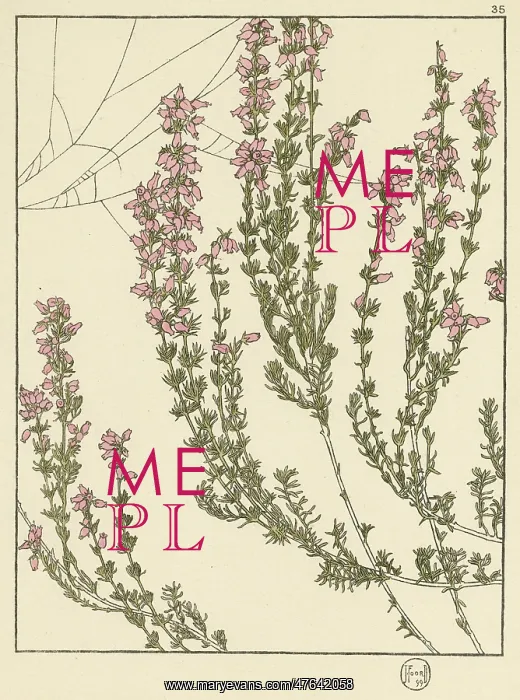  : X. Decorative flower study by Jeannie Foord