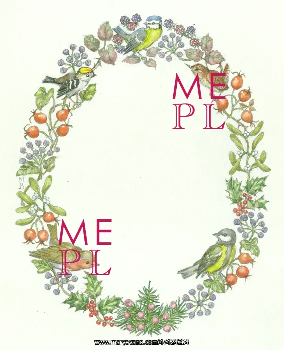 : A decorative frame featuring robins and blue tits : A decorative frame featuring robins and blue tits