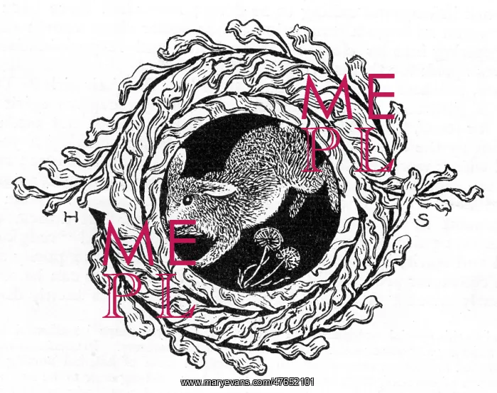 : Decorative hare : Decorative hare