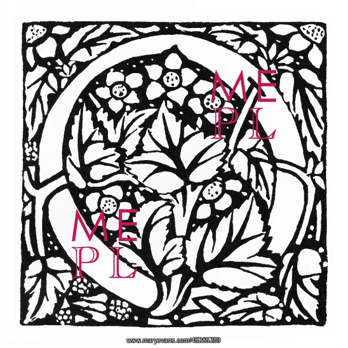  : Decorative initial