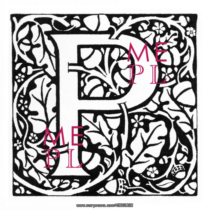  : Decorative initial
