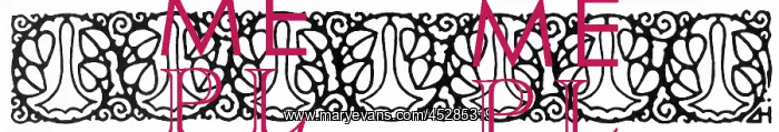  : Decorative tailpiece