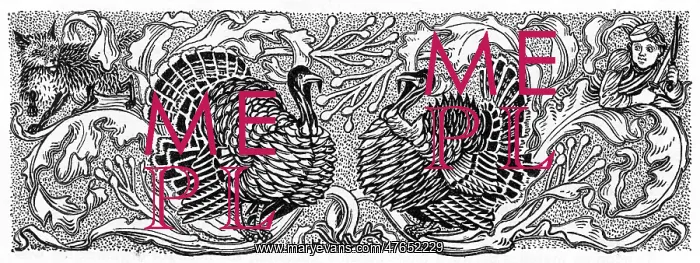 : Decorative turkeys : Decorative turkeys