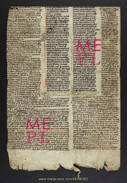 : Decretales Gregorii IX (Fragment) : Decretales Gregorii IX (Fragment)