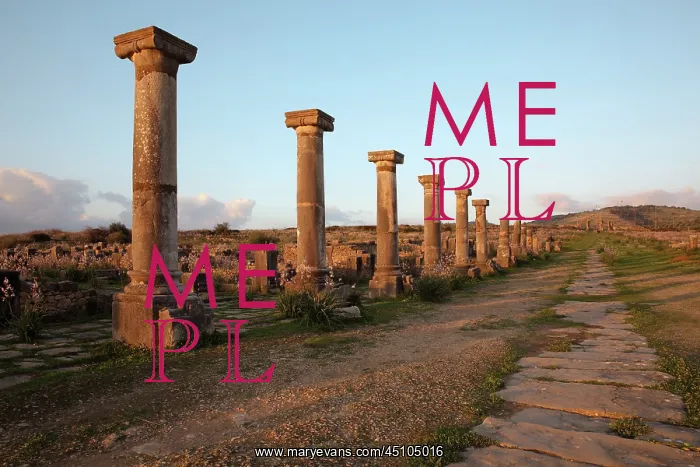 : Decumanus Maximus and Forum columns, Volubilis : Decumanus Maximus and Forum columns, Volubilis