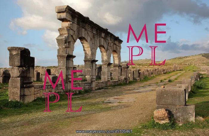 : Decumanus Maximus and Portico, Volubilis, Meknes-Tafilalet : Decumanus Maximus and Portico, Volubilis, Meknes-Tafilalet