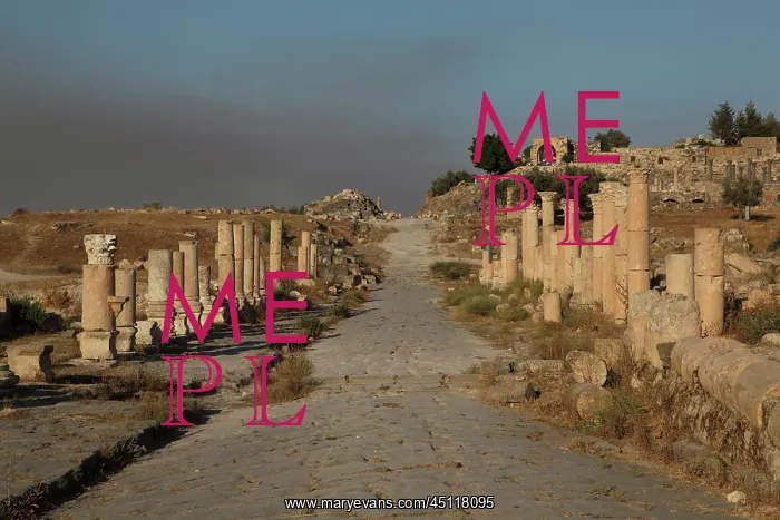 : Decumanus Maximus, Umm Qais, Jordan : Decumanus Maximus, Umm Qais, Jordan
