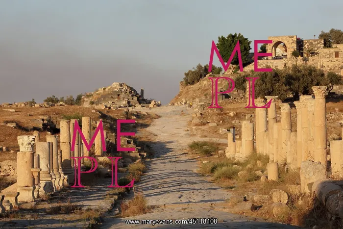 : Decumanus Maximus, Umm Qais, Jordan : Decumanus Maximus, Umm Qais, Jordan