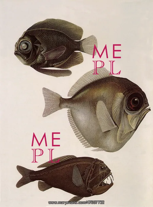  : Three Deep-Sea Fish