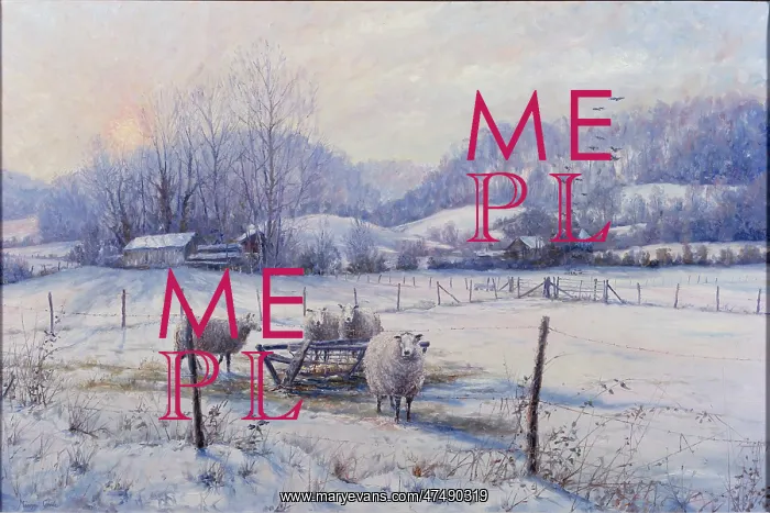 : Deep Winter Sunset ' sheep in snow : Deep Winter Sunset ' sheep in snow