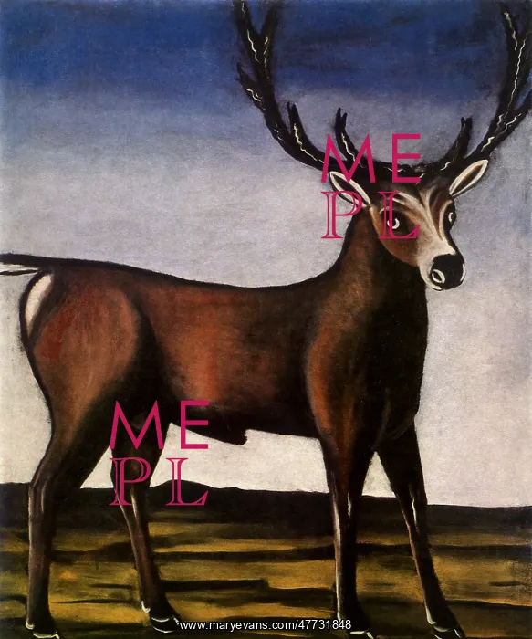  : Deer